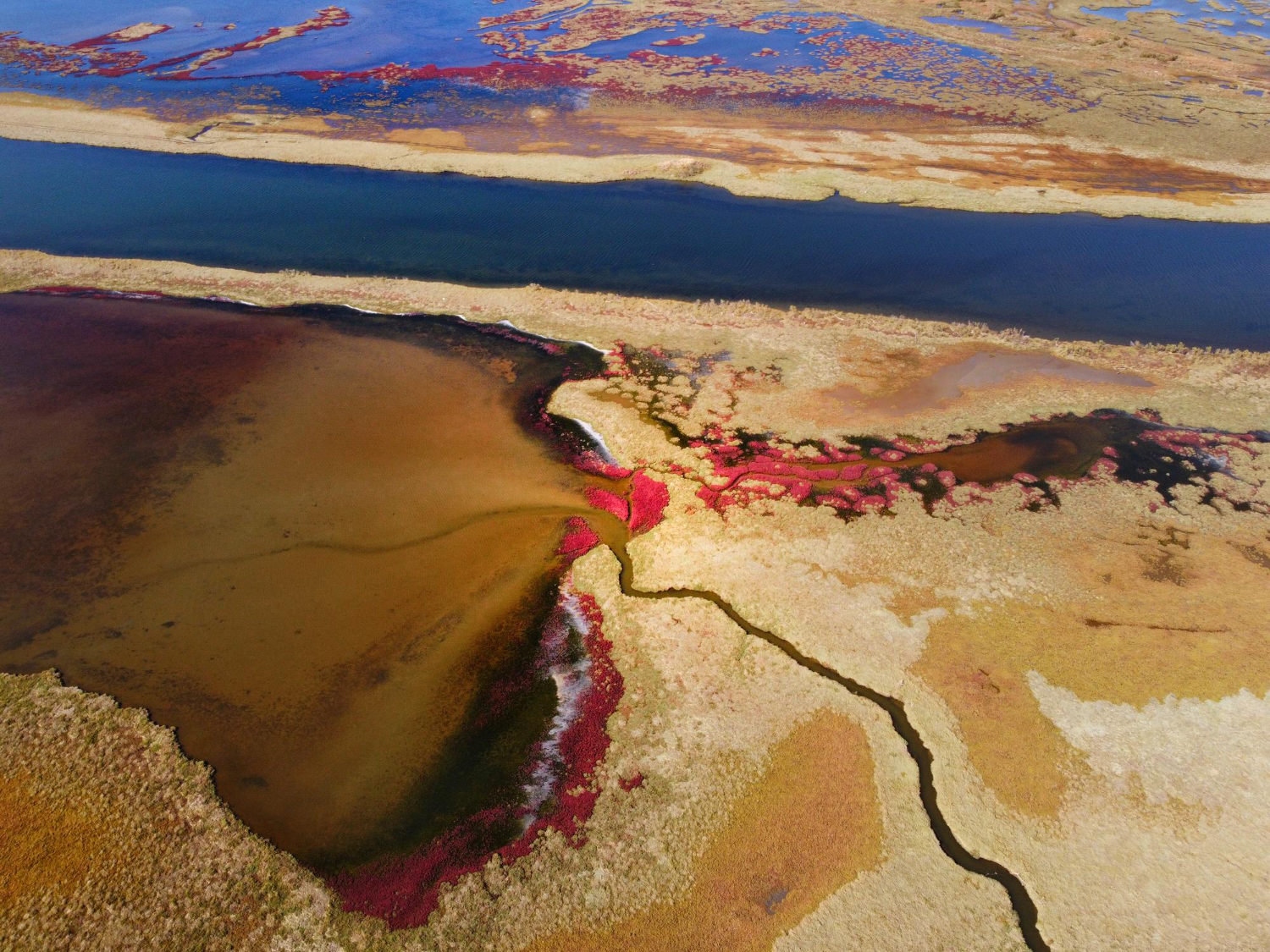Delta Of Evros River - Thrace, Greece - 9610121