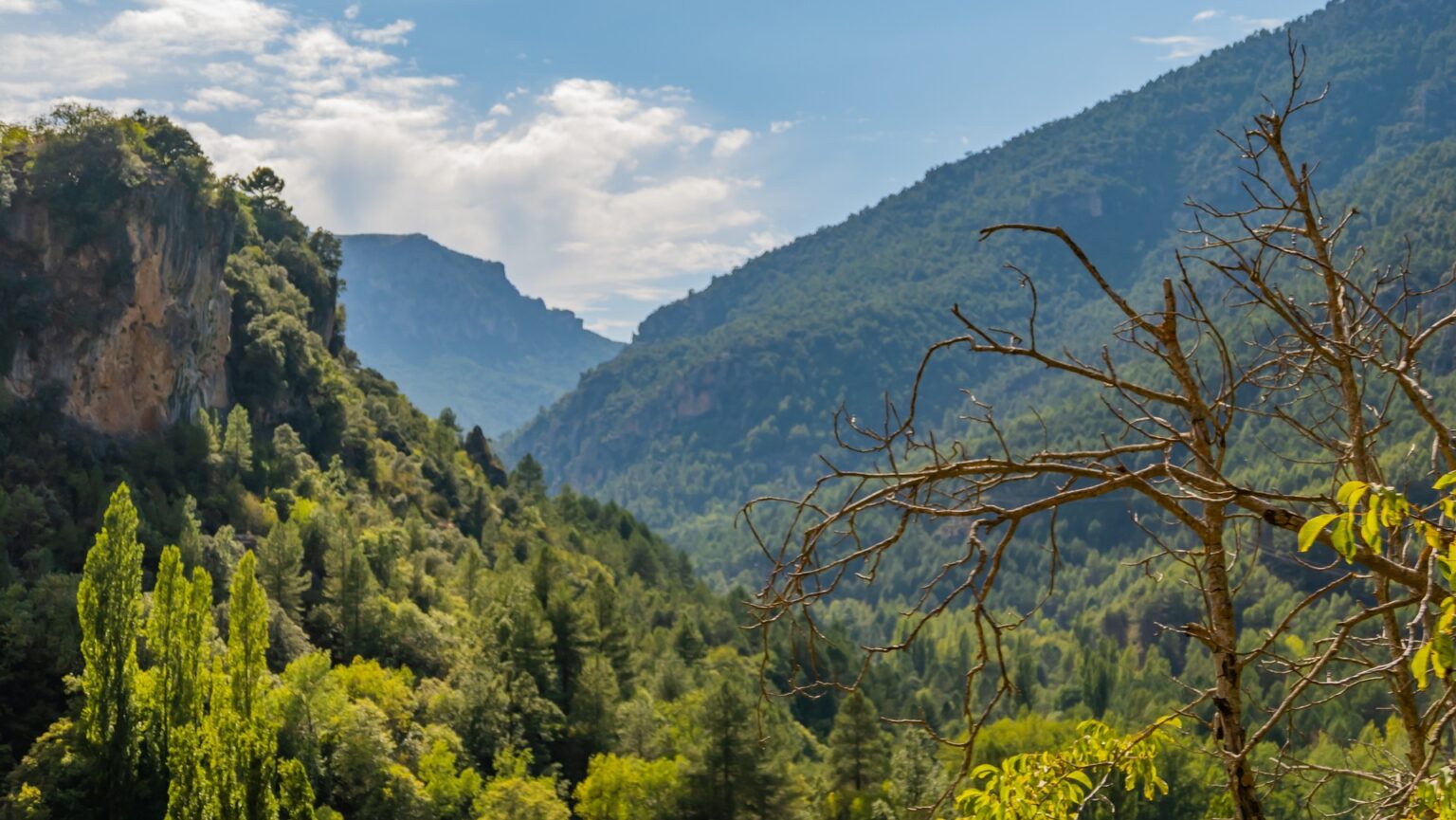 Greece Landscape - 5548736